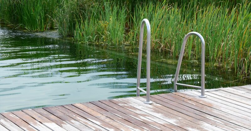 Piscine naturelle, une alternative intéressante
